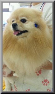 0209