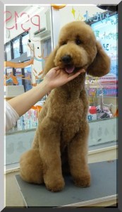 sp3