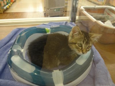 飼い主様お写真