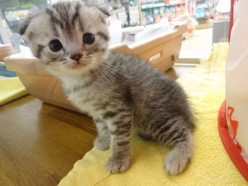 飼い主様お写真