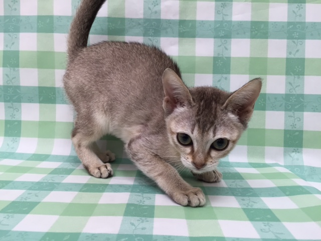 飼い主様お写真