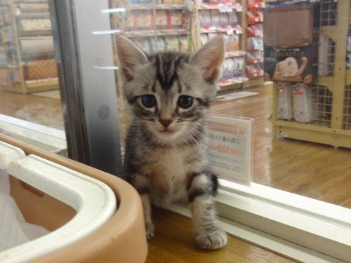 飼い主様お写真