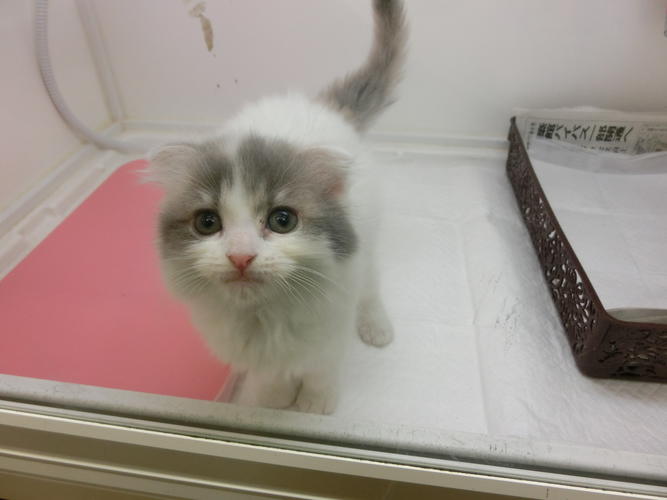 飼い主様お写真