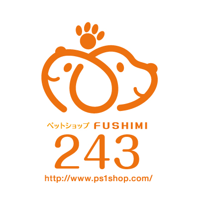 スコティッシュフォールド(立耳)