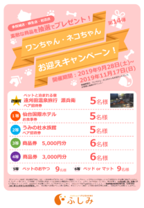 2019年・第14弾・お迎えキャンペーン開催・宮城５店舗・ふしみ～・～9/28（土）～11/17（日）まで・第34回・ＴＶＣＭ放映・取材風景