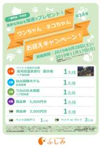 2019年・第14弾・お迎えキャンペーン開催・宮城５店舗・ふしみ～・～9/28（土）～11/17（日）まで・第34回・ＴＶＣＭ放映・取材風景