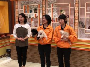 2019.第35回・郡山図景店・撮影風景　ゴジてれChu!2019年・第35回・郡山図景店・ＴＶＣＭ放映・■福島中央テレビ（日テレ系） イベント・第15弾・お迎えキャンペーン開催・2019・10/19（土）～12/31（火）まで