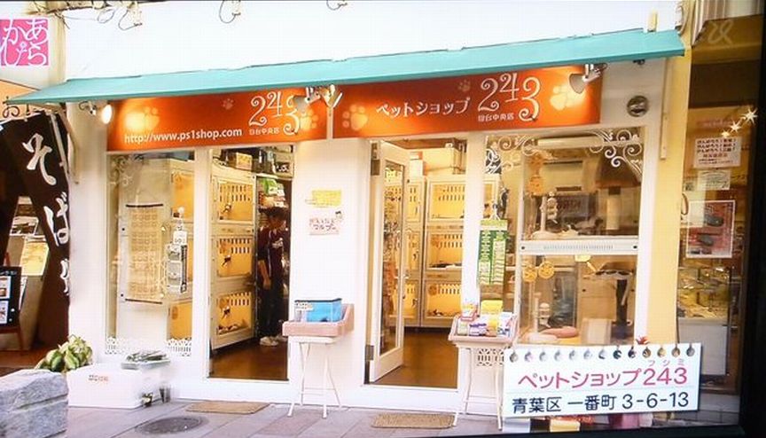 ペットショップ243仙台中央店