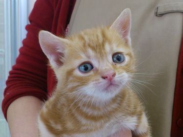 飼い主様お写真