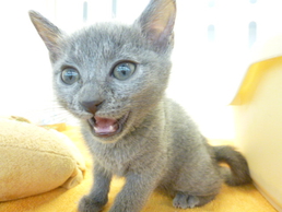 飼い主様お写真