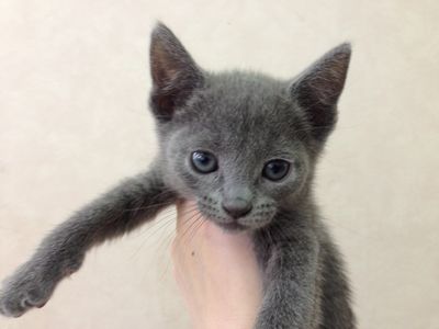 飼い主様お写真