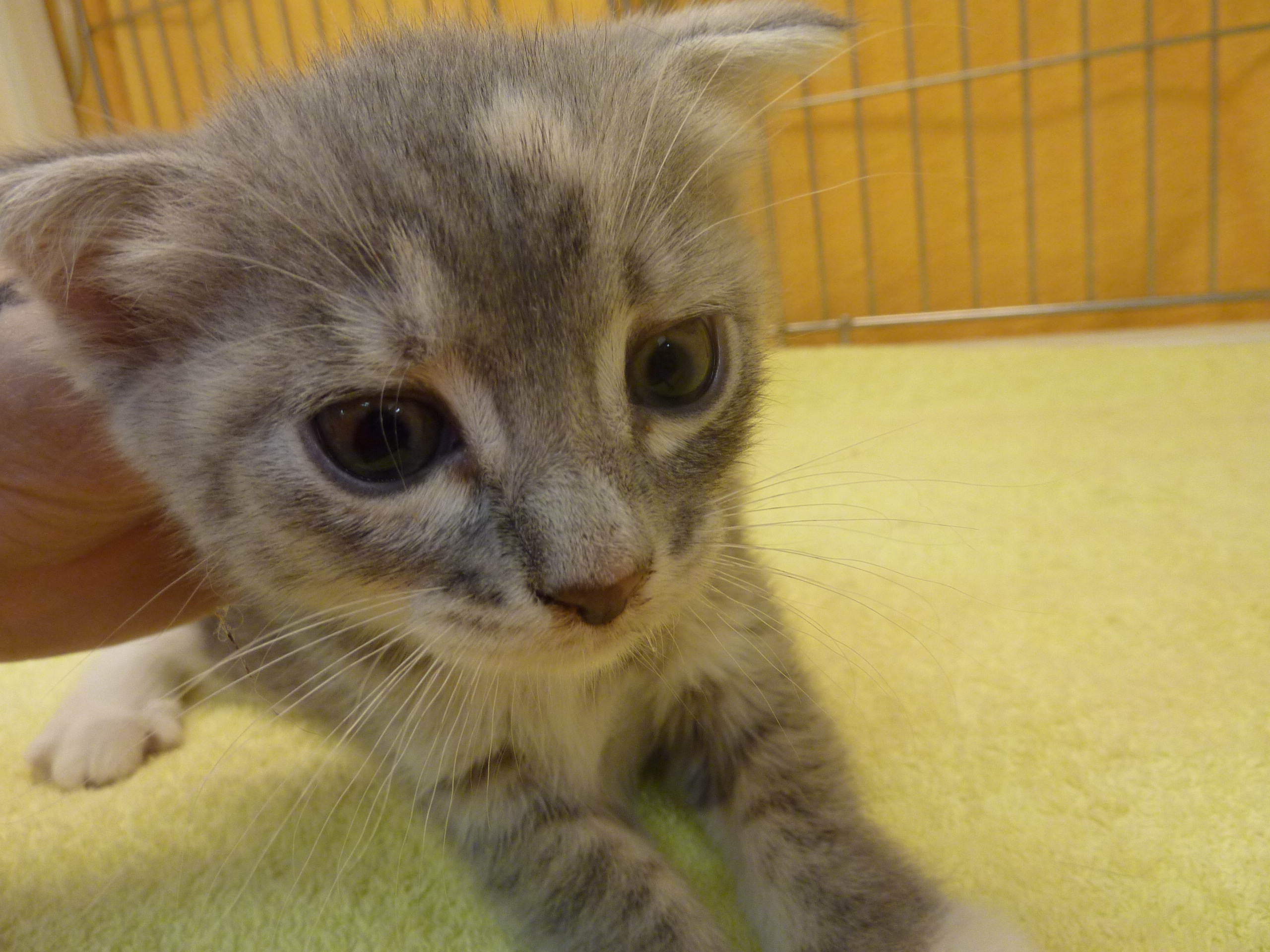 飼い主様お写真