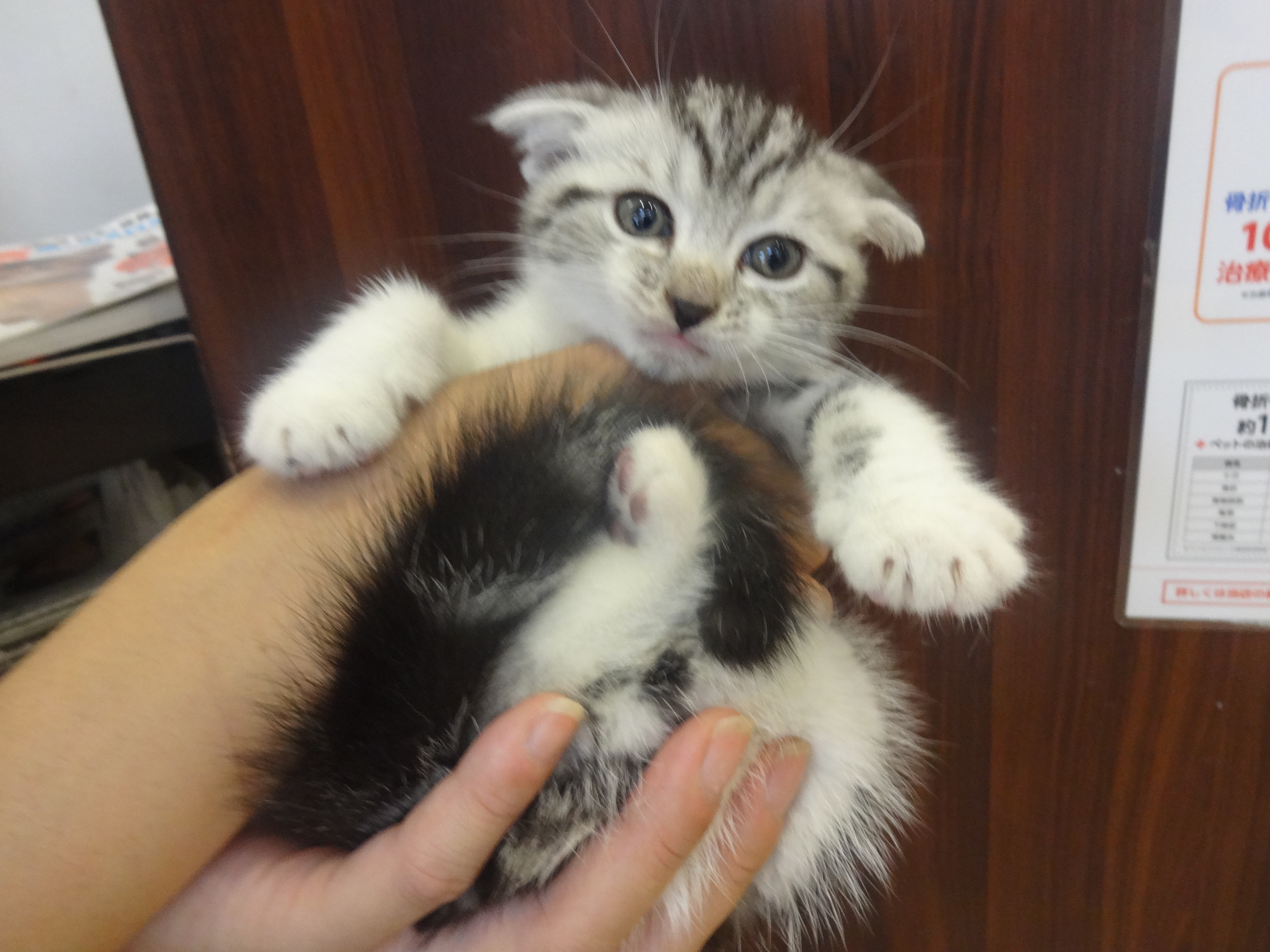 飼い主様お写真