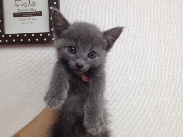 飼い主様お写真