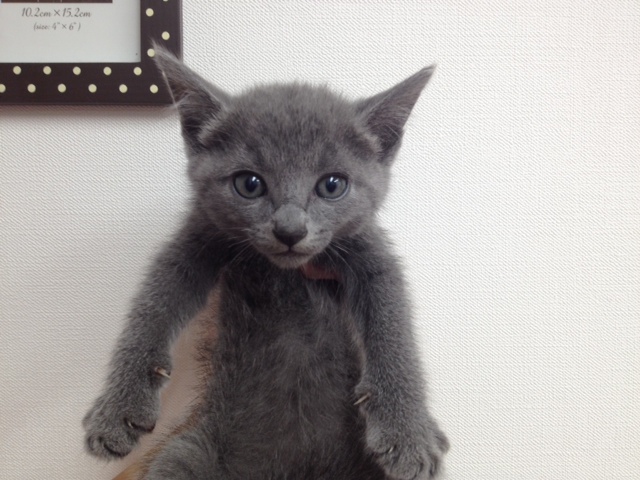 飼い主様お写真