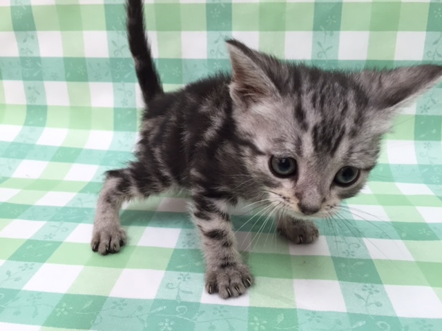飼い主様お写真