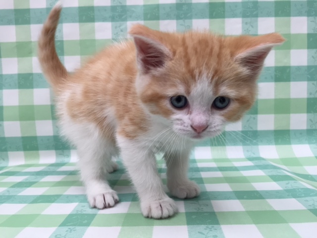 飼い主様お写真