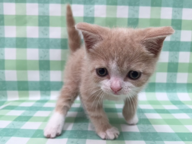 飼い主様お写真