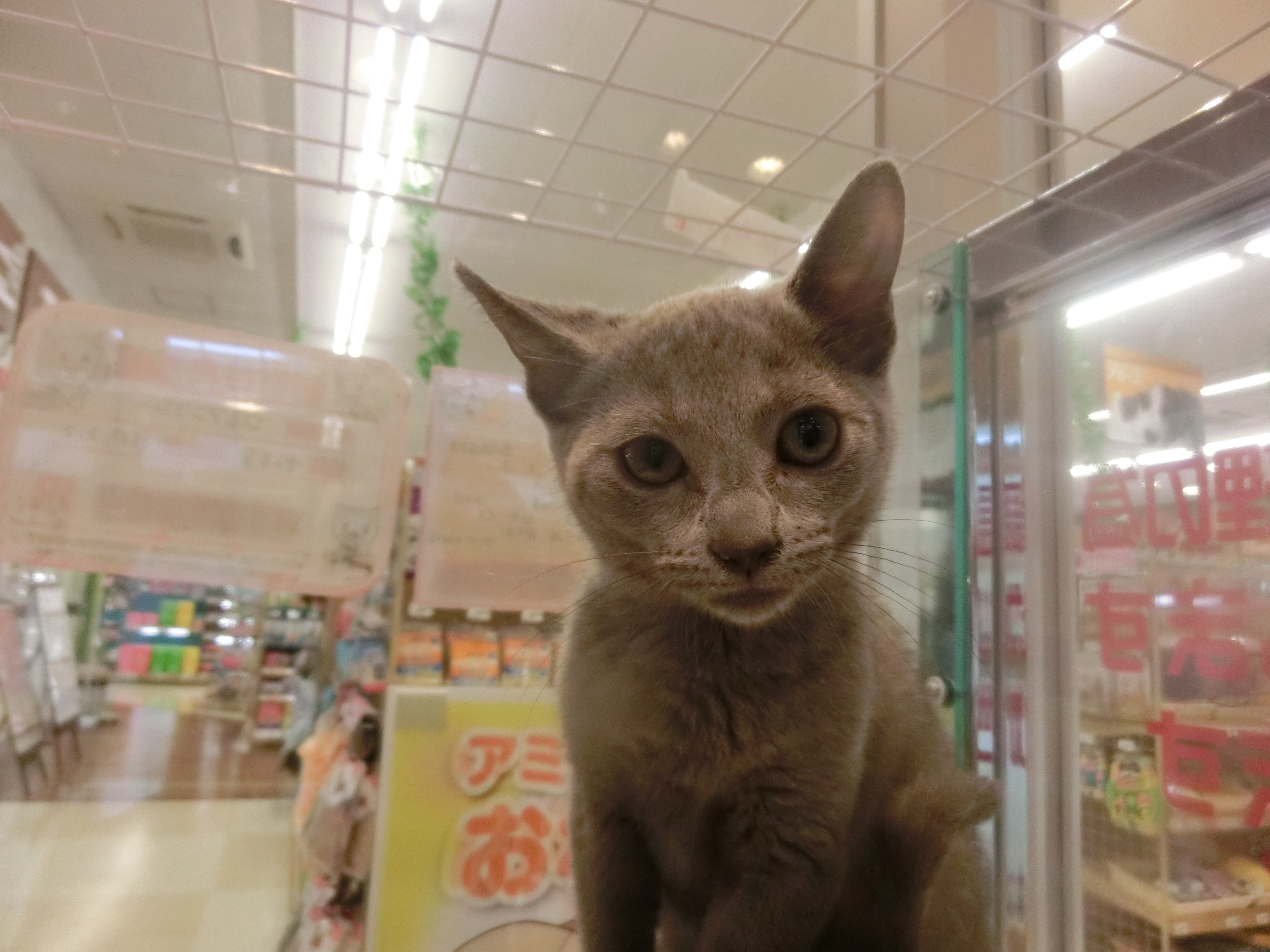 飼い主様お写真