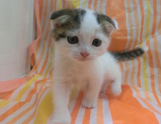 飼い主様お写真
