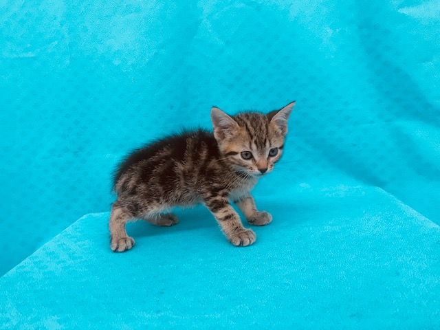 飼い主様お写真