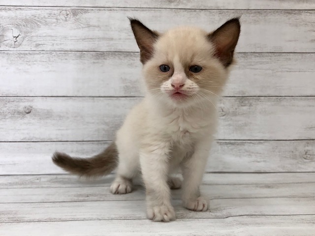 飼い主様お写真