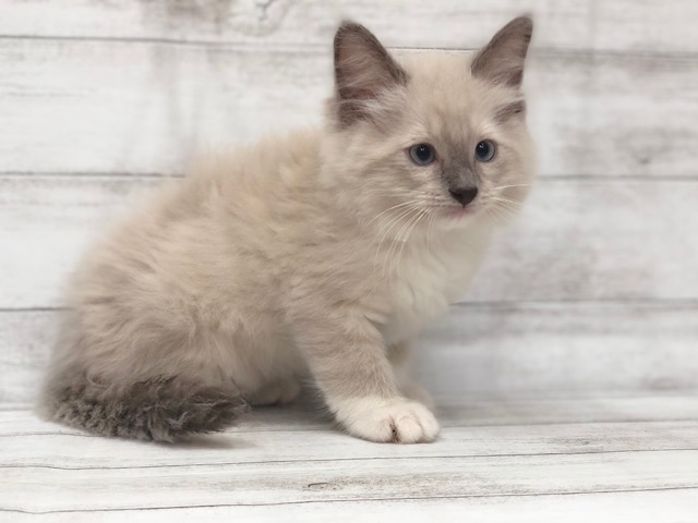 飼い主様お写真