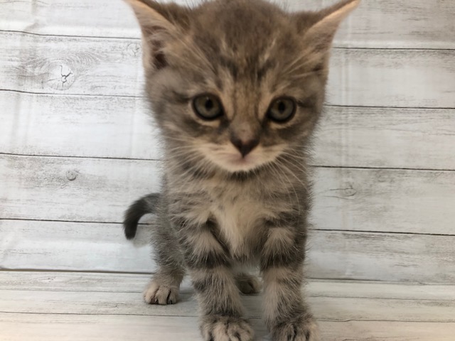 飼い主様お写真