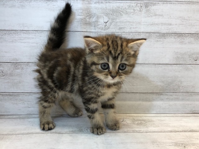 飼い主様お写真