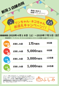：ペットショップふしみ・第21弾　お迎えキャンペーンのご案内・新潟３店舗合同（※コロナウィルスの影響で内容が変更になる場合があります。）