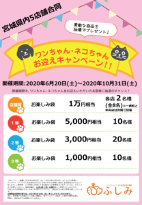 宮城県内５店舗合同・第23弾お迎えキャンペーン開催中 🐕🐈2020年6月20日（土）～2020年 10月31日（土）
