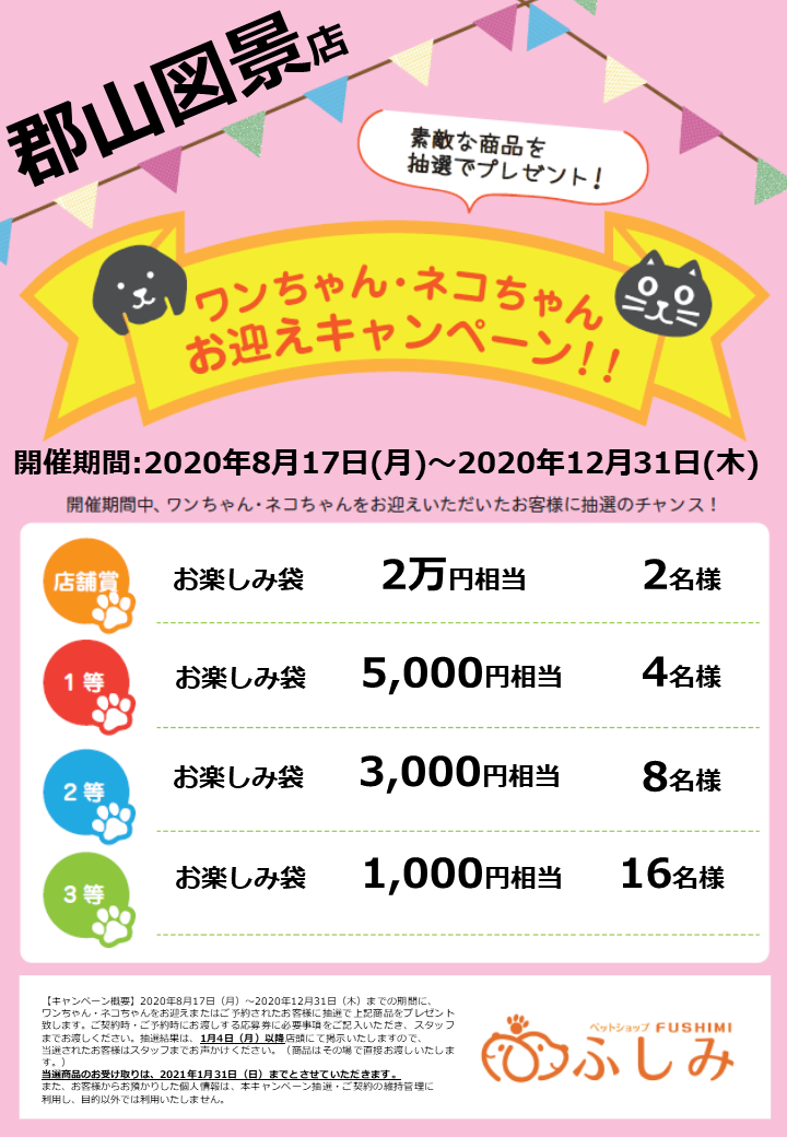 第22回　お迎えキャンペーンのご案内・（ふしみ）※22弾　お迎えキャンペーン（合計、10万円相当の商品券、または、商品を抽選で進呈）