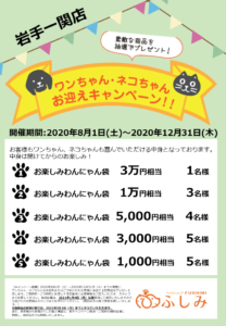 第25弾・お迎えキャンペーン開催のお知らせ・ペットショップふしみ一関店