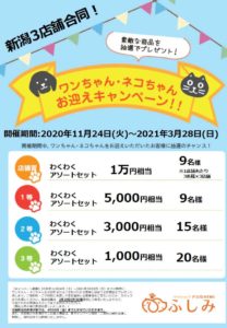 家族になろうよ！第26弾・お迎えキャンペーン開催のお知らせ・ペットショップふしみ・新潟3店舗合同