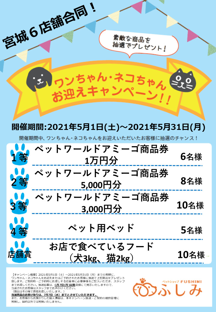 予告・第30回お迎えキャンペーン　宮城6店舗合同イベント_宮城県6店舗合同キャンペーン