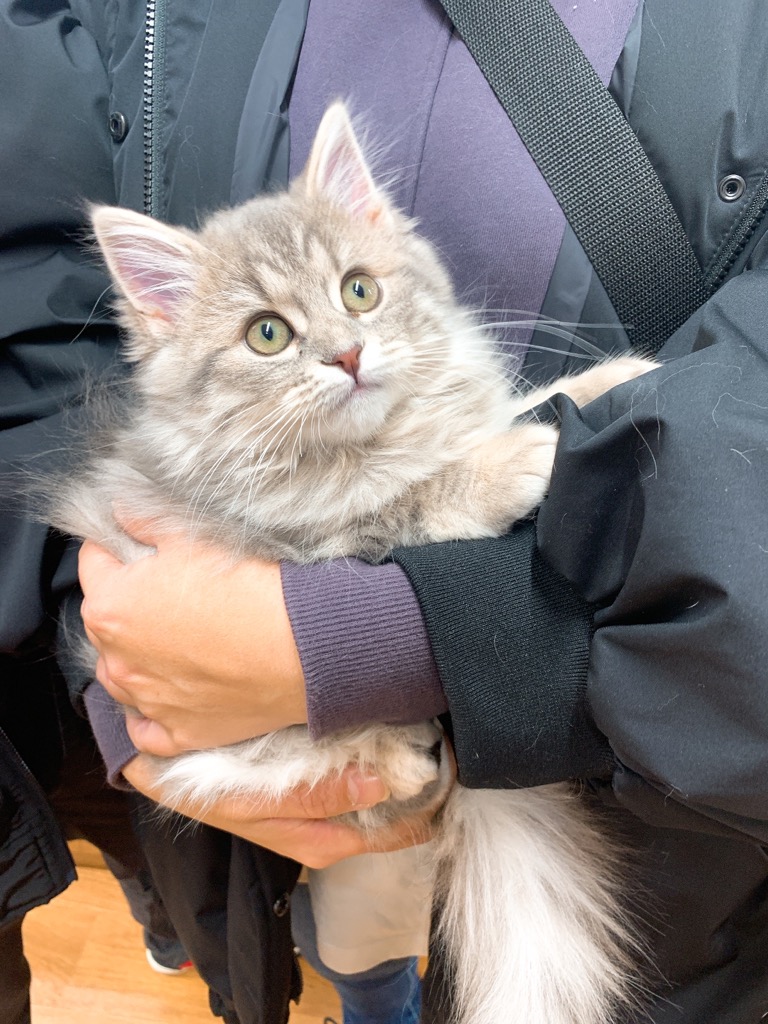 飼い主様お写真