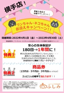 202204TVCM　ペットワールドアミーゴ横手店イベント開催