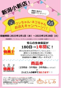 お迎えキャンペーン開催2023.02・小新・紫竹山・新発田