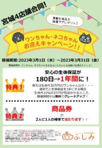 宮城TVCM放映・イベント開催2023.03 お迎えキャンペーン開催