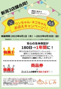 新潟各店・TVCM放映・2023.06・お迎えキャンペーン開催