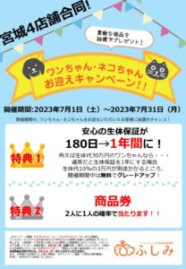 宮城各店・TVCM放映・2023.07・お迎えキャンペーン開催