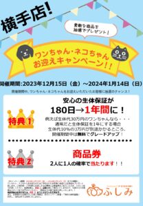 横手店　TVCM放映・2023.12  お迎えキャンペーン開催