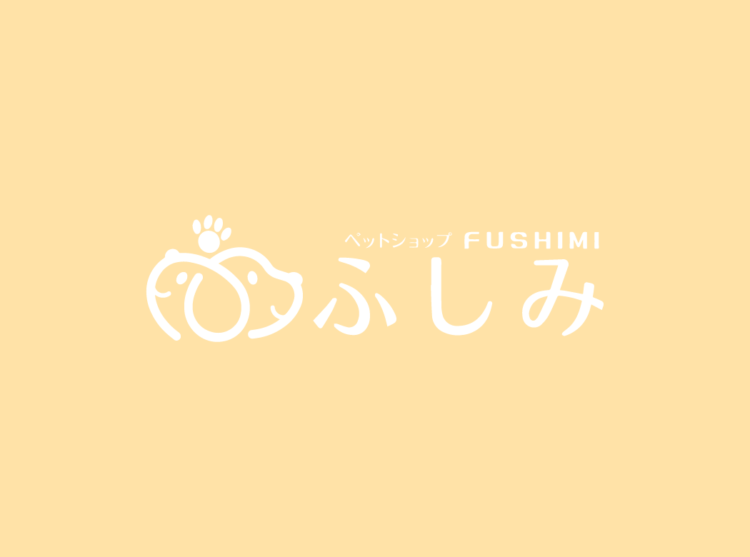 Mix(マルチーズ×シーズー)￥141,900(税込)8/10まで→￥108,900(税込)