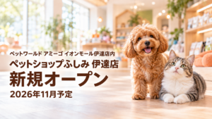 伊達店 新規オープン予定（2026年11月）