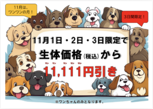 🐶11月はワンワンday🐶